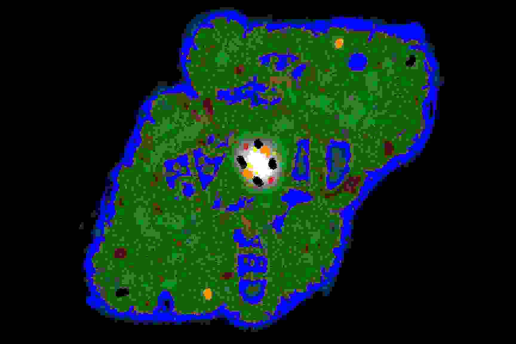 2er-longplay